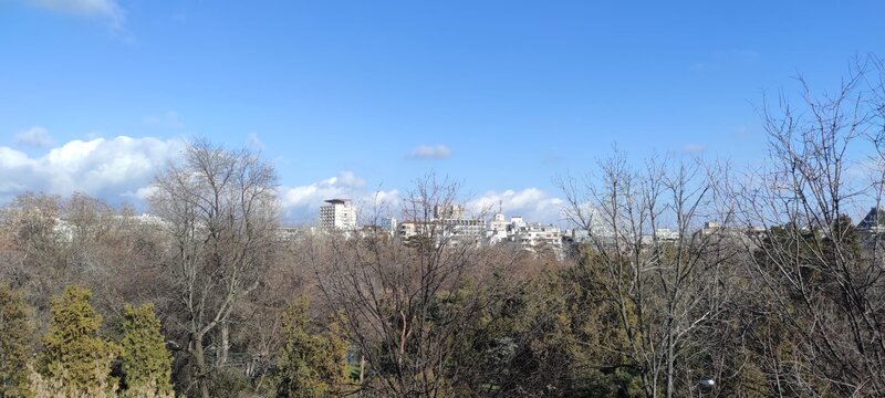 Cismigiu, centru, Particular fara agenti